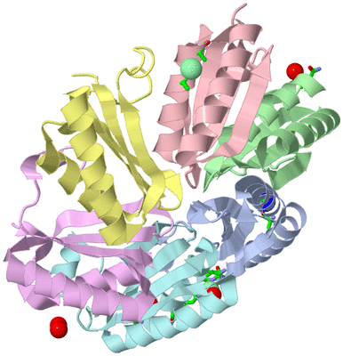 Image Biol. Unit 1 - sites