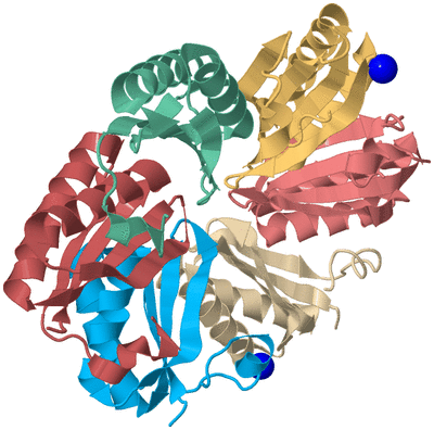 Image Biological Unit 2