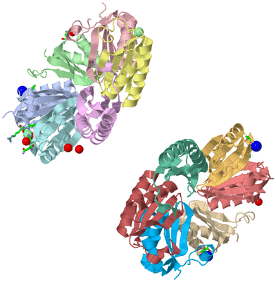 Image Asym. Unit - sites