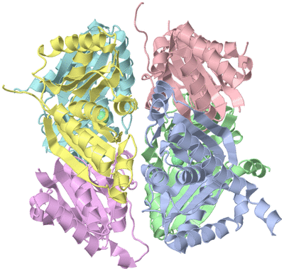 Image Asym./Biol. Unit