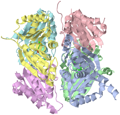 Image Asym./Biol. Unit - sites