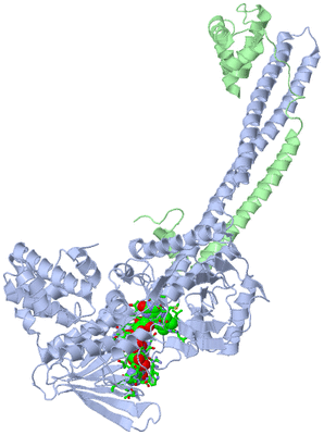 Image Asym./Biol. Unit - sites