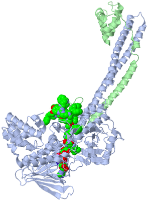 Image Asym./Biol. Unit