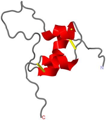 Image NMR Structure - model 1