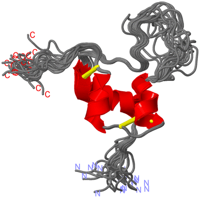 Image NMR Structure - all models