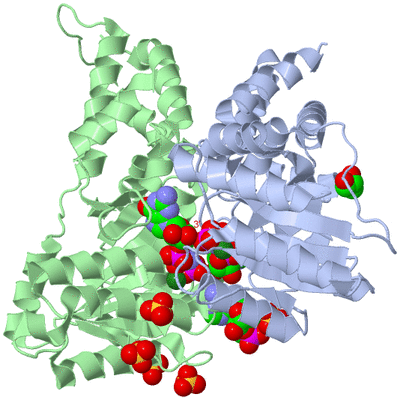 Image Biological Unit 1