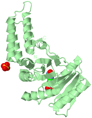 Image Biological Unit 2