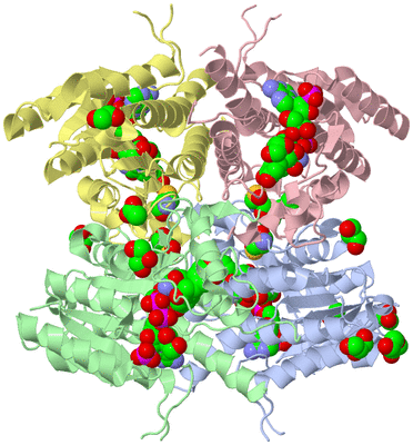 Image Asym./Biol. Unit