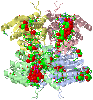 Image Asym./Biol. Unit - sites