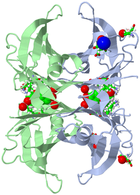 Image Biol. Unit 1 - sites