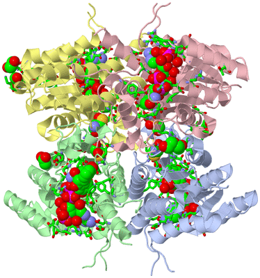 Image Asym./Biol. Unit - sites