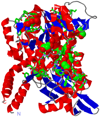 Image Asym. Unit - sites