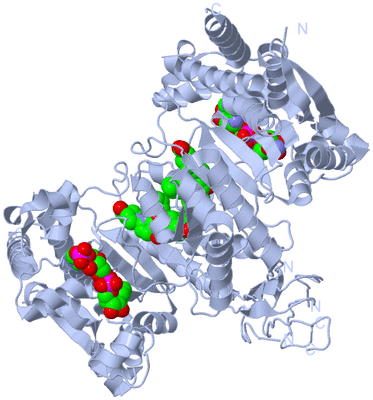 Image Biological Unit 1