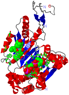 Image Asym. Unit - sites