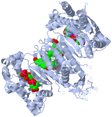 Image Biological Unit 1