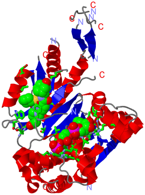 Image Asym. Unit - sites