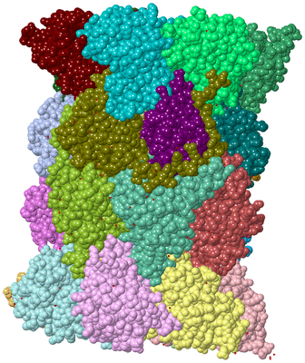 Image Asym./Biol. Unit