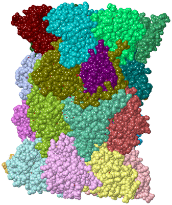 Image Asym./Biol. Unit - sites