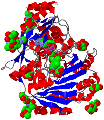 Image Asym./Biol. Unit