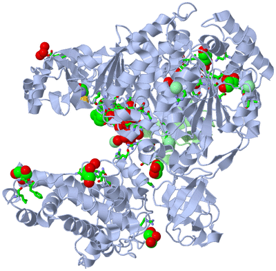 Image Biol. Unit 1 - sites