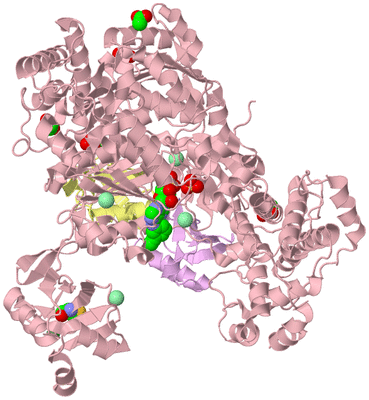 Image Biological Unit 2