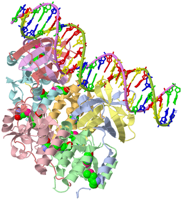 Image Asym./Biol. Unit