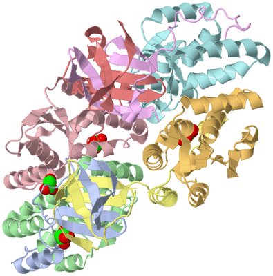 Image Biological Unit 1