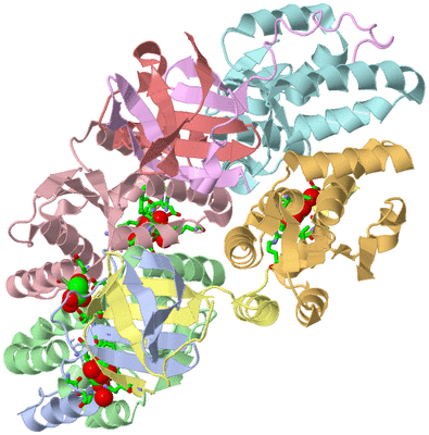 Image Biol. Unit 1 - sites