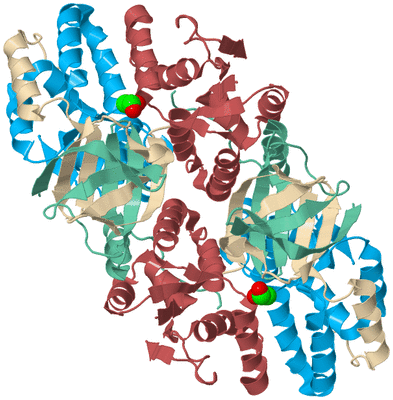 Image Biological Unit 2