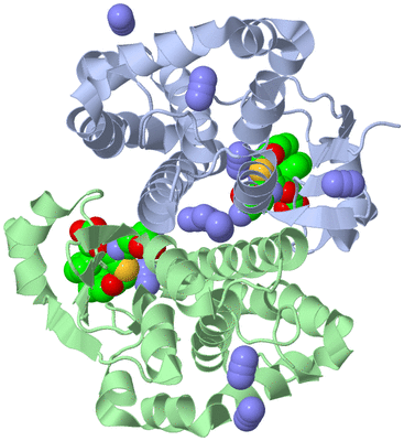 Image Asym./Biol. Unit