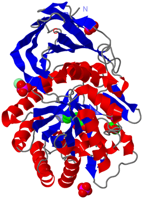 Image Asym./Biol. Unit