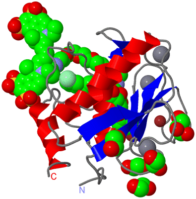 Image Asym./Biol. Unit