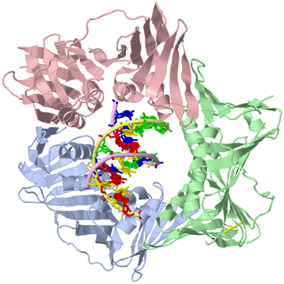 Image Asym./Biol. Unit