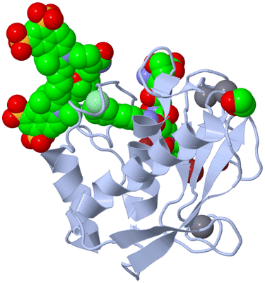 Image Biological Unit 1