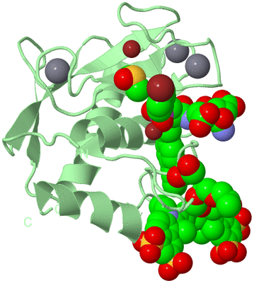 Image Biological Unit 2