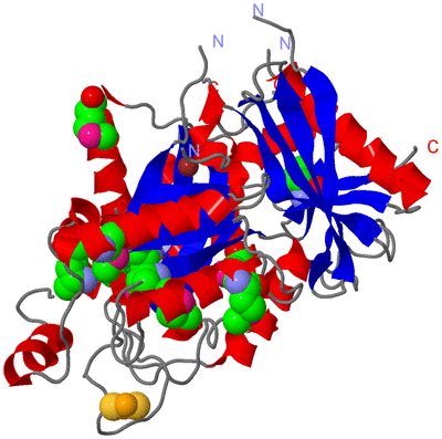 Image Asym./Biol. Unit