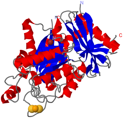 Image Asym./Biol. Unit