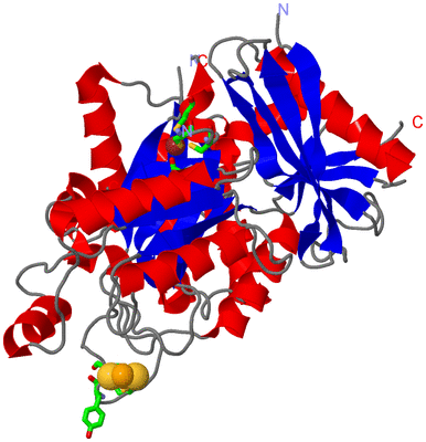 Image Asym./Biol. Unit - sites