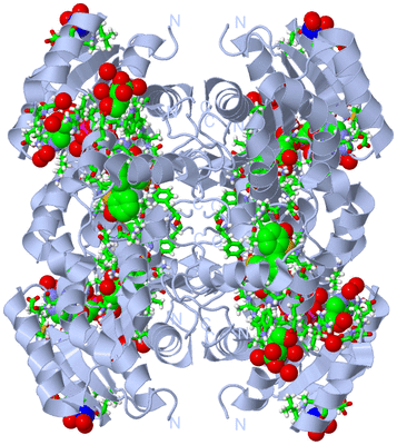 Image Biol. Unit 1 - sites