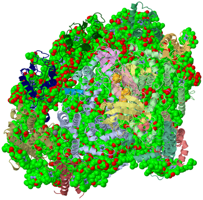 Image Asym./Biol. Unit