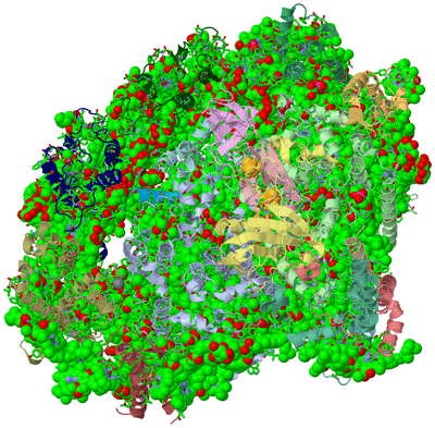 Image Asym./Biol. Unit - sites