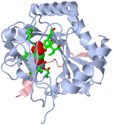 Image Biol. Unit 1 - sites