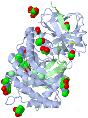 Image Asym./Biol. Unit