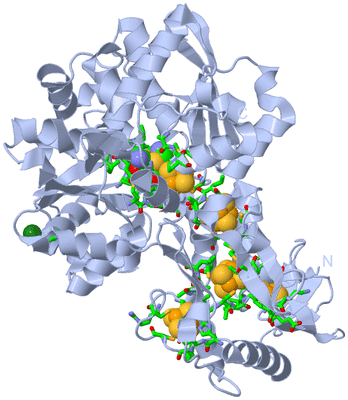 Image Biol. Unit 1 - sites