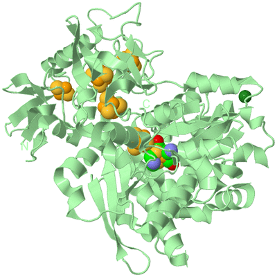 Image Biological Unit 2