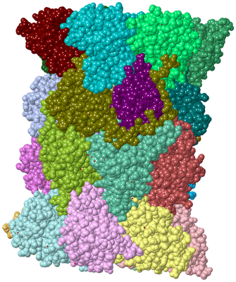 Image Asym./Biol. Unit - sites