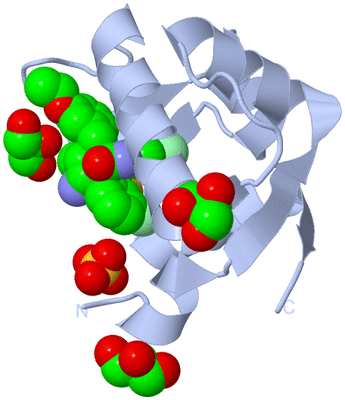 Image Biological Unit 1