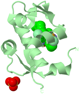 Image Biological Unit 2