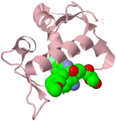 Image Biological Unit 3