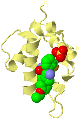 Image Biological Unit 4